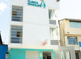 Clínica Virgen de Guadalupe