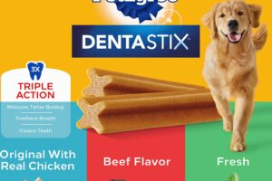 Dental Dentastic