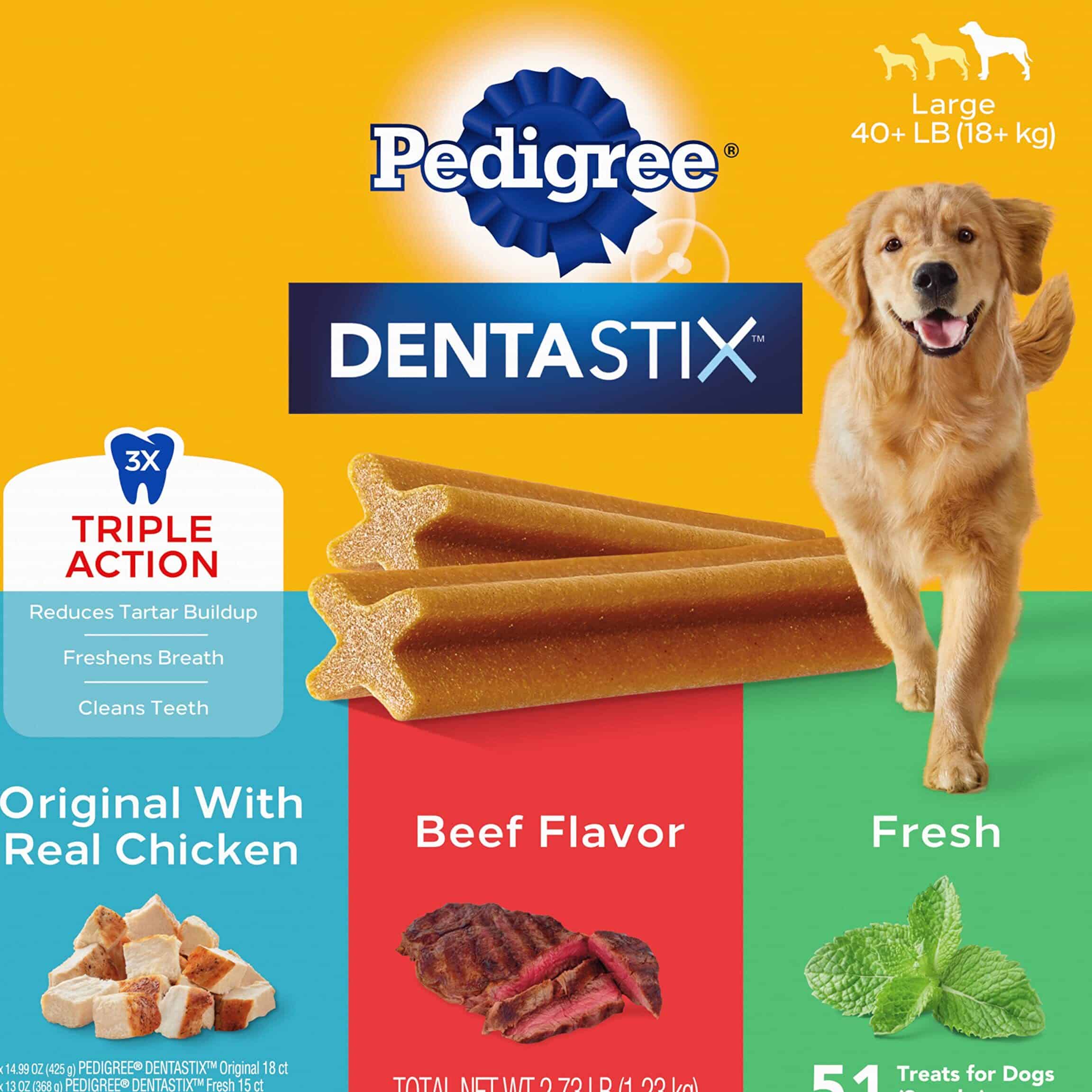 dental dentastic